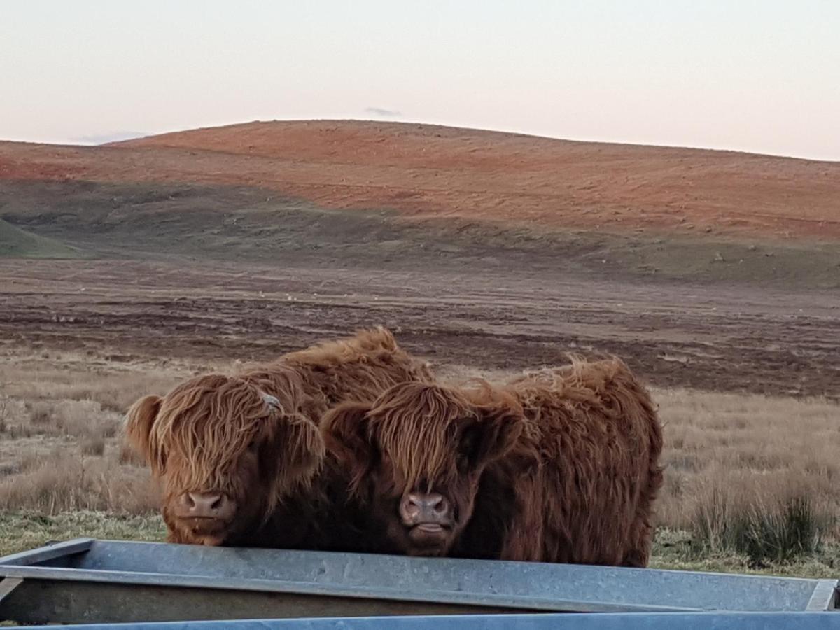 Innlands - North Skye Kilmaluag ภายนอก รูปภาพ